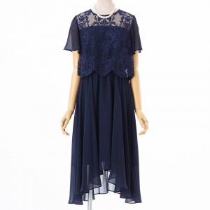 Aimer エメ 刺繍シフォン袖付きドレス